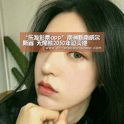 ‘乐发彩票app’澳洲新南威尔斯省 无尾熊2050年恐灭绝(图2) 乐发彩票app